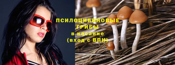 кокс Богданович