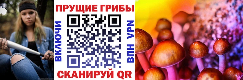 Галлюциногенные грибы MAGIC MUSHROOMS  Невельск 